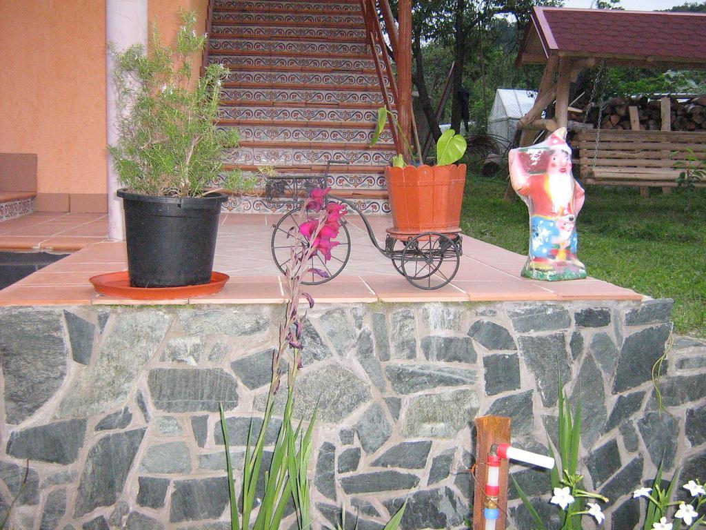 Pensiunea Patricia Oesti-Paminteni Buitenkant foto