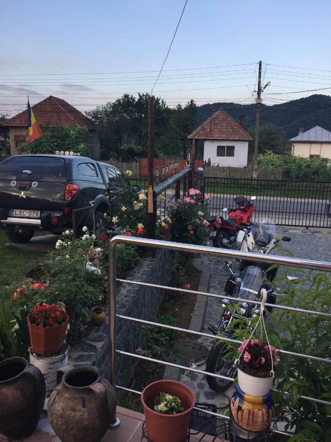 Pensiunea Patricia Oesti-Paminteni Buitenkant foto
